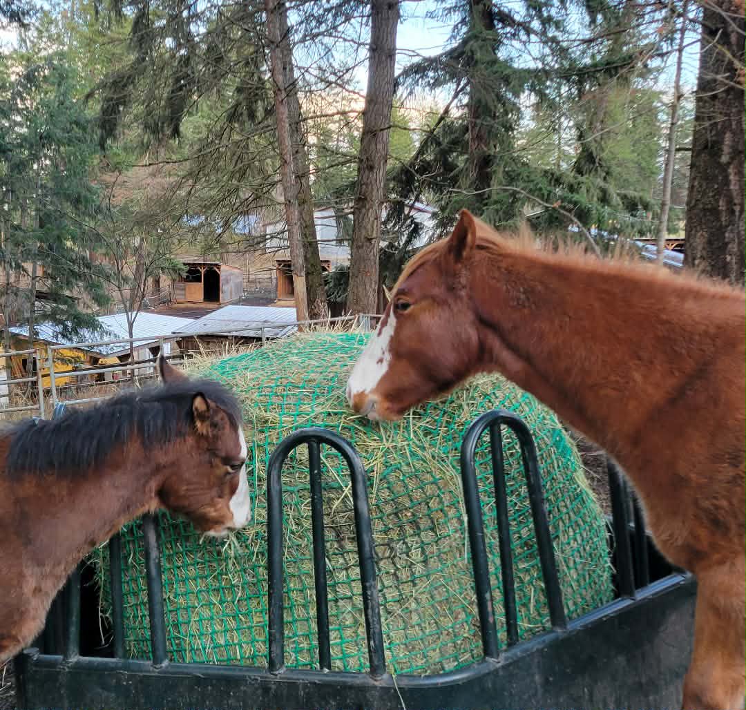 NomNom Knotless Heavy-Duty Hay Round Bale Net