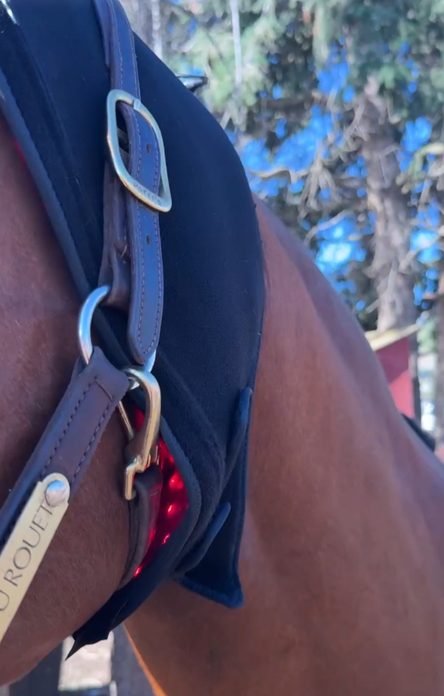 SV Equine Therapy LUX LED Calming Horse Bonnet