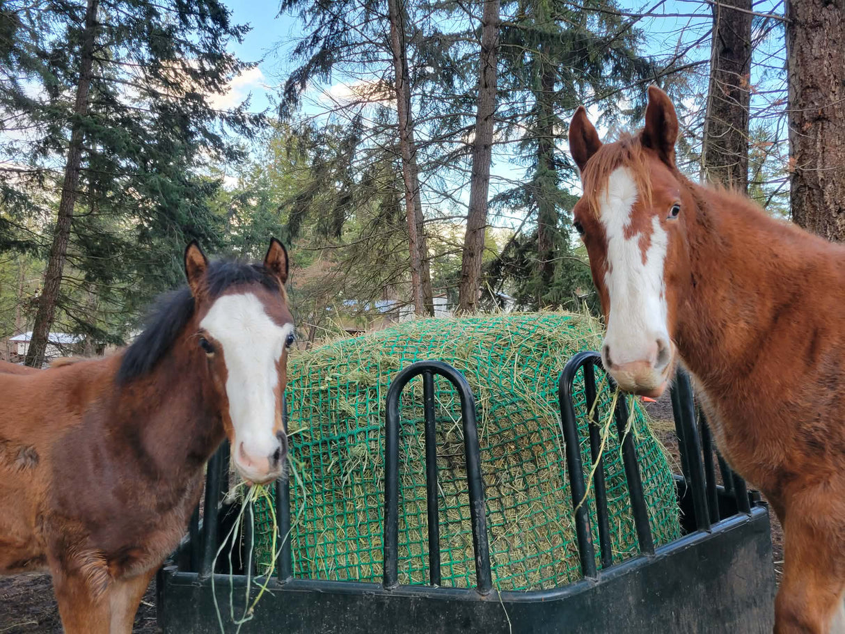 NomNom Knotless Heavy-Duty Hay Round Bale Net