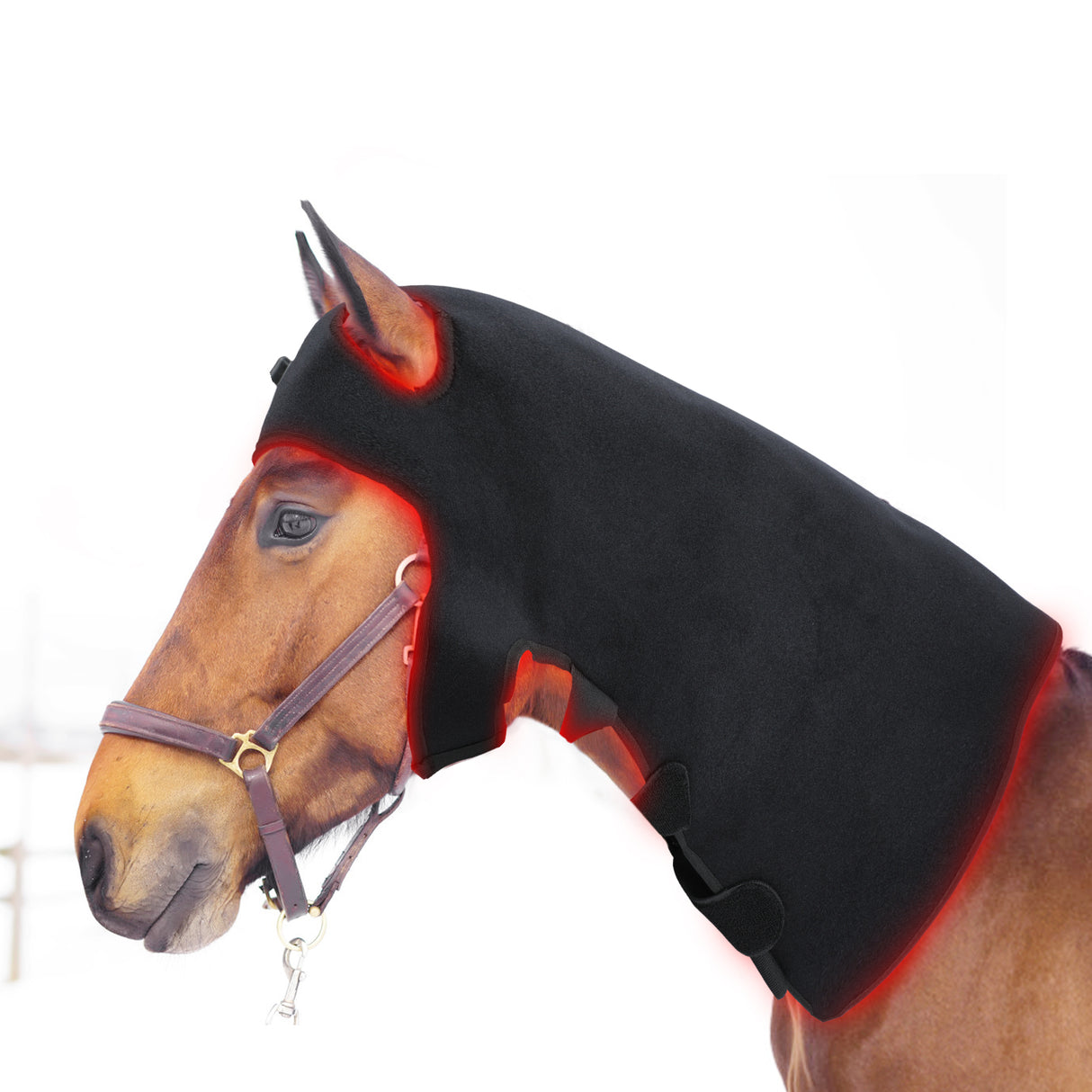 “Horse wearing LED therapy hood for poll and neck”
“Infrared light therapy pad for horse TMJ and shoulder”
“Wireless red light therapy for calming nervous horses”
“Equine LED hood pad with velcro and PVC cover”