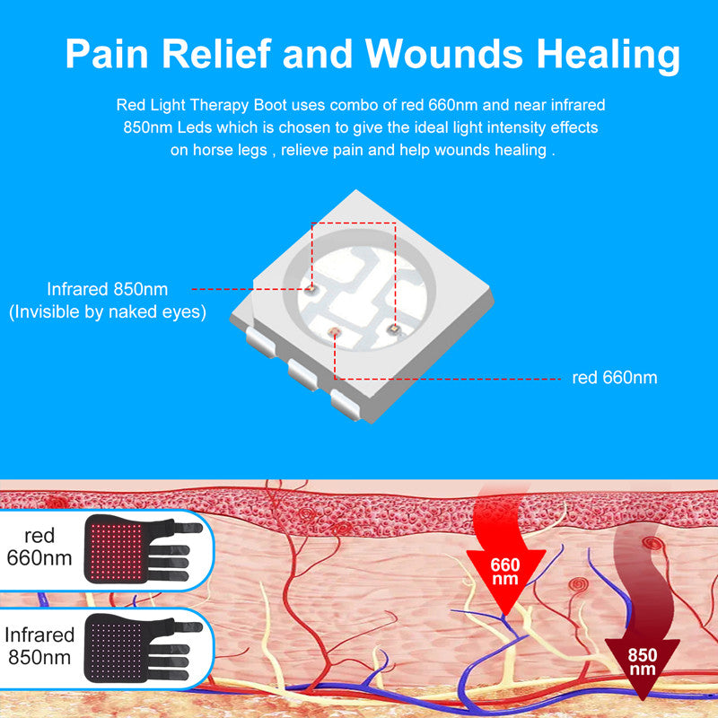 SV Equine Therapy ACTIVE Leg LED Light Therapy Boots – Red & Near-Infrared Relief for Tendon, Fetlock, Pastern & Coronary Band