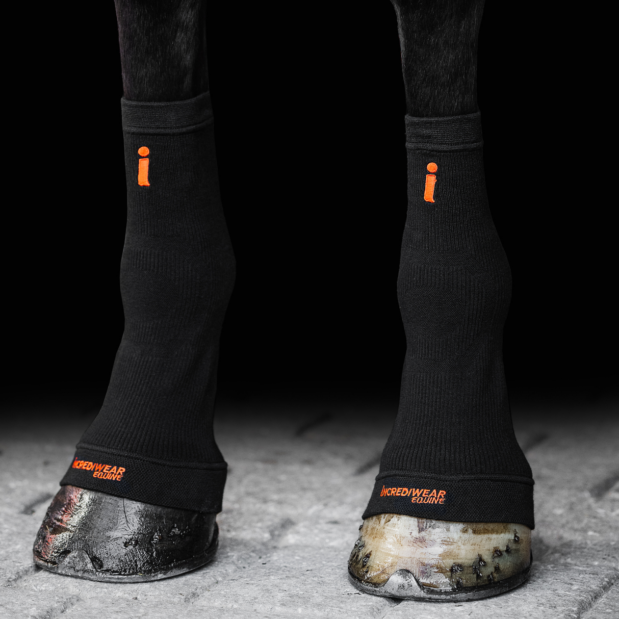 INCREDIWEAR CIRCULATION HOOF SOCKS - BLACK