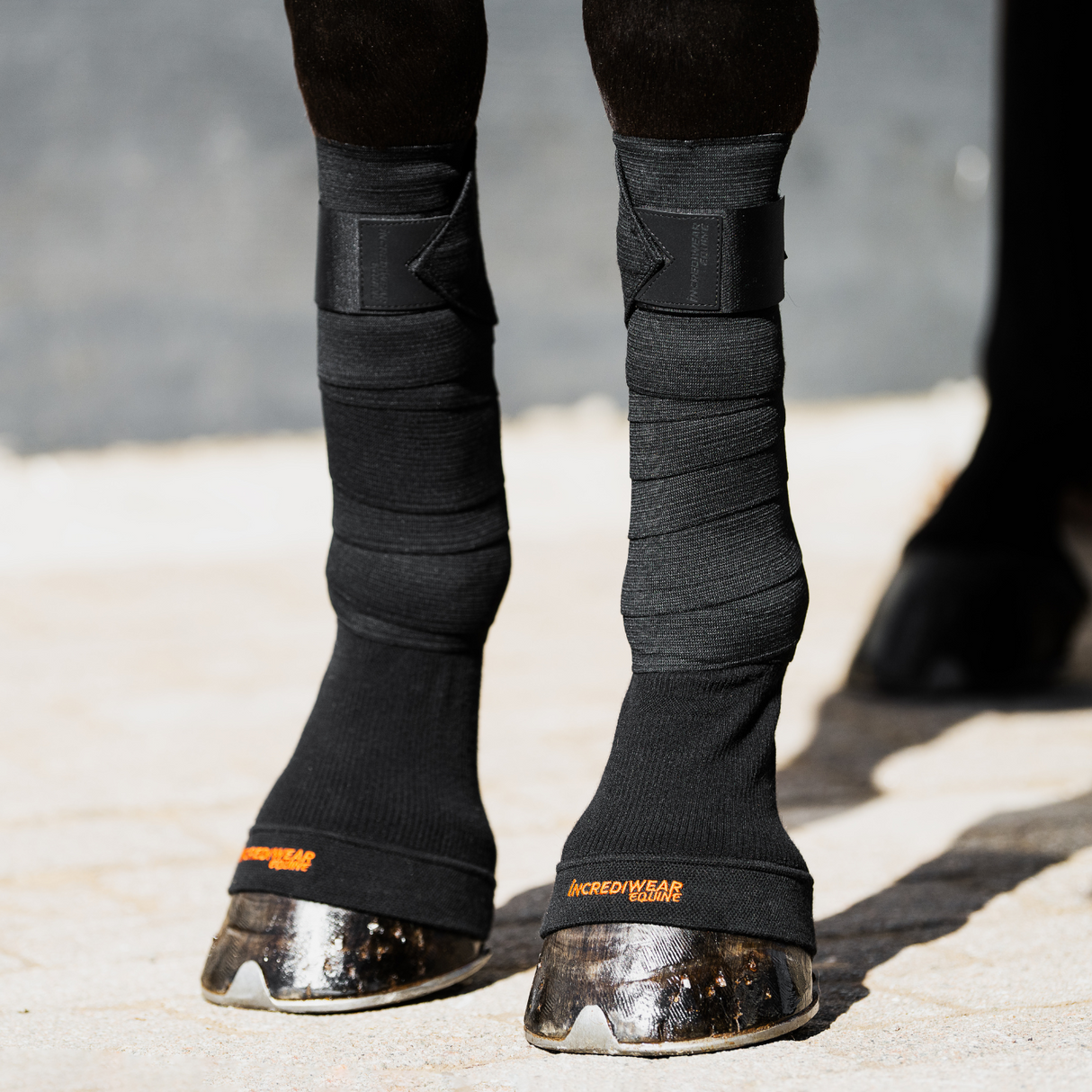 INCREDIWEAR CIRCULATION HOOF SOCKS - BLACK