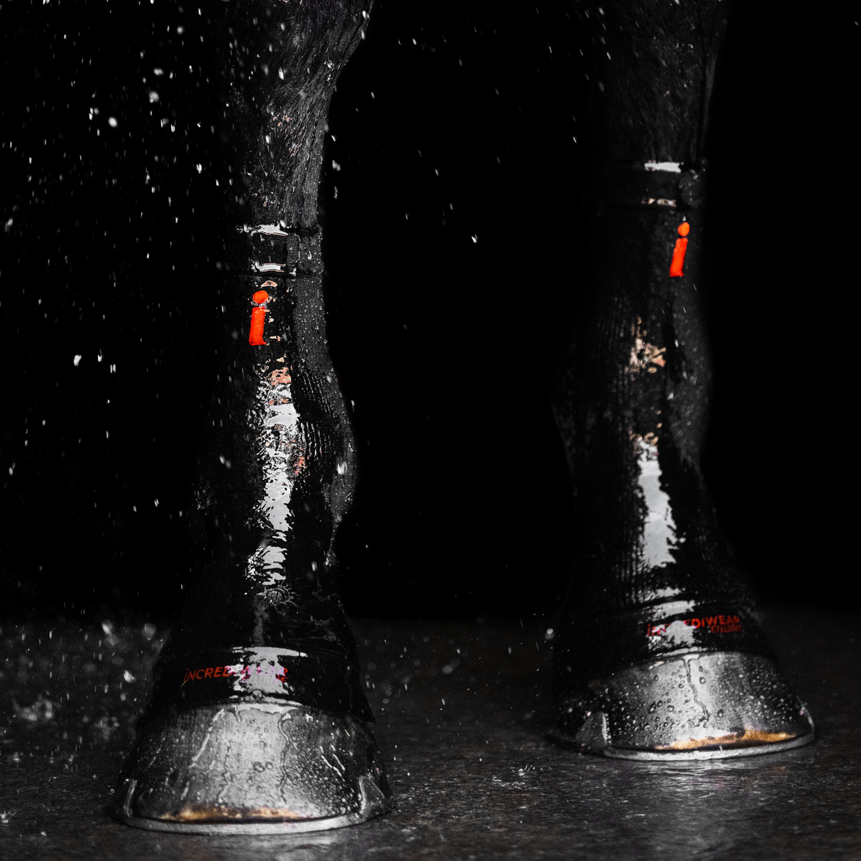 INCREDIWEAR CIRCULATION HOOF SOCKS - BLACK