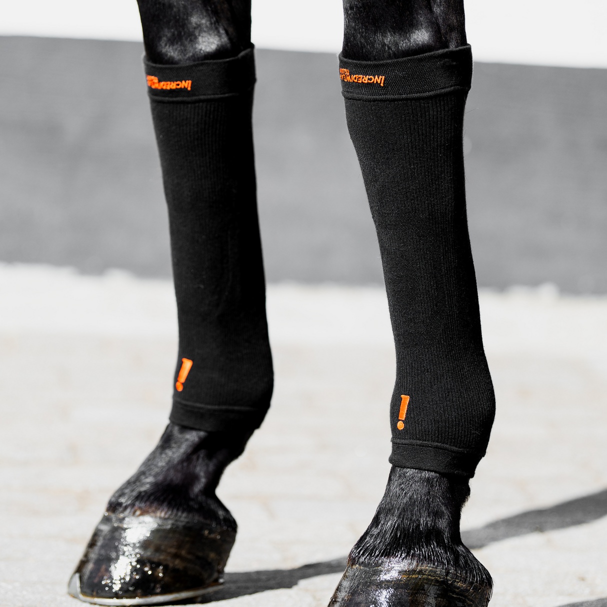 INCREDIWEAR CIRCULATION HOOF SOCKS - BLACK