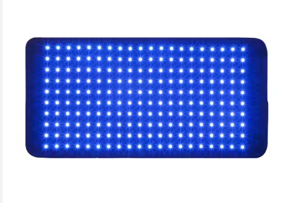 “Blue light therapy for proud flesh in horses