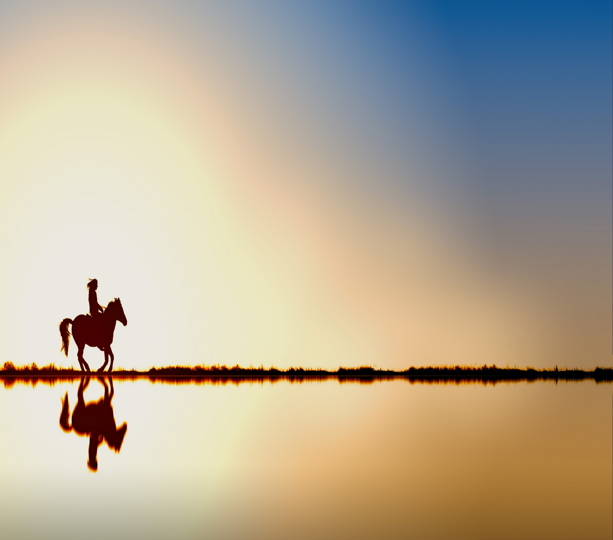 Equestrian 20oz Skinny Tumbler - Design 43