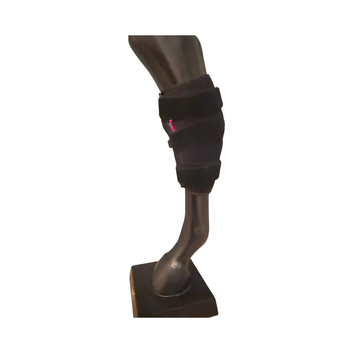 SV Equine Therapy red light therapy boot for horse hocks
Infrared LED therapy boot for horse knee pain relief
Wireless equine light therapy boot with built-in battery
Horse wearing hock therapy boot with PVC cover and velcro