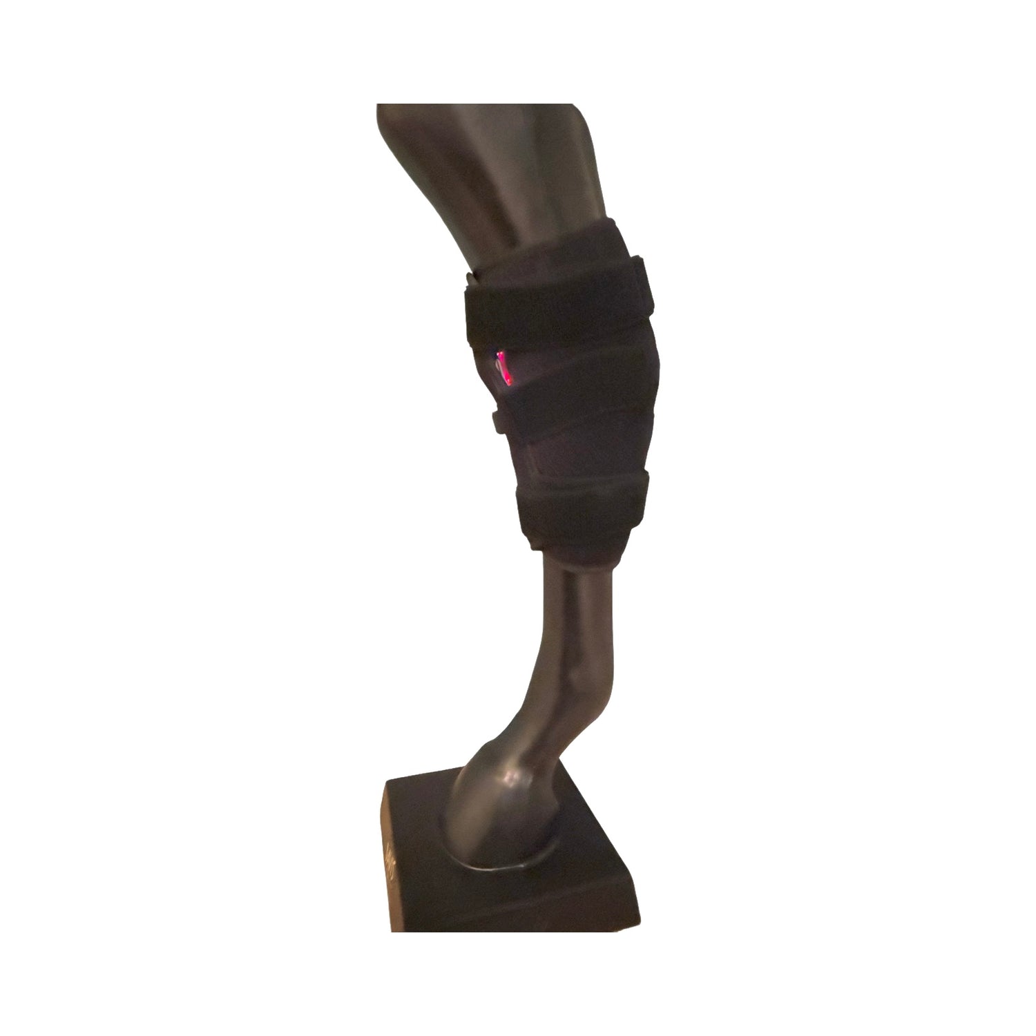 SV Equine Therapy red light therapy boot for horse hocks
Infrared LED therapy boot for horse knee pain relief
Wireless equine light therapy boot with built-in battery
Horse wearing hock therapy boot with PVC cover and velcro