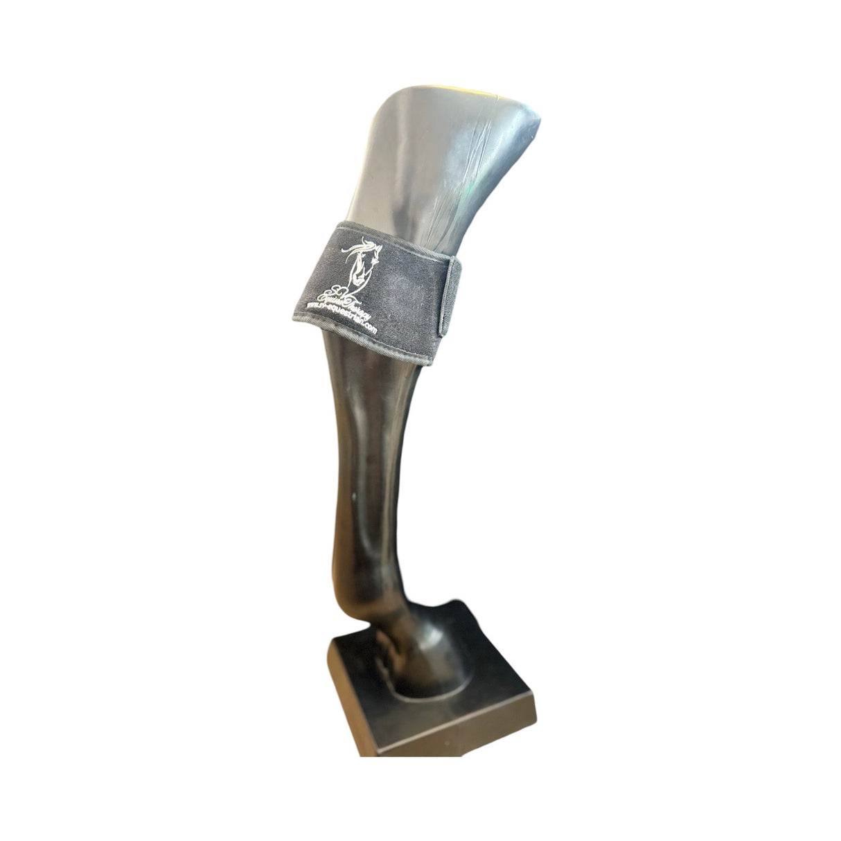 “Infrared LED pad treating hock inflammation”