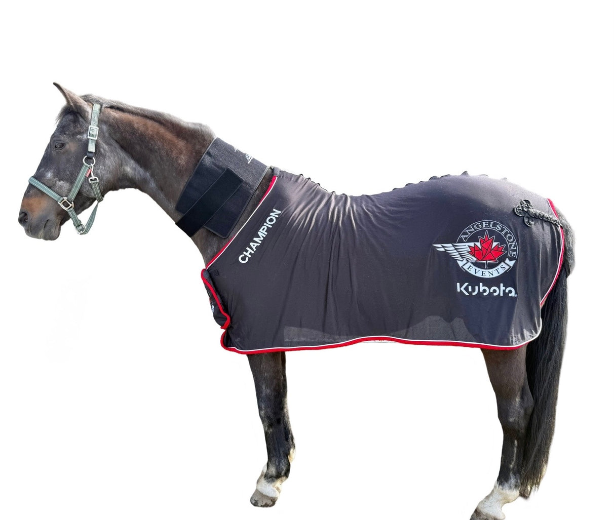 “Horse wearing red light therapy pad on back”
“Near-infrared LED pad treating equine neck soreness”
“Cordless back and neck LED therapy for horses in barn”
“SV Equine Therapy pad reducing inflammation in horse’s shoulders”