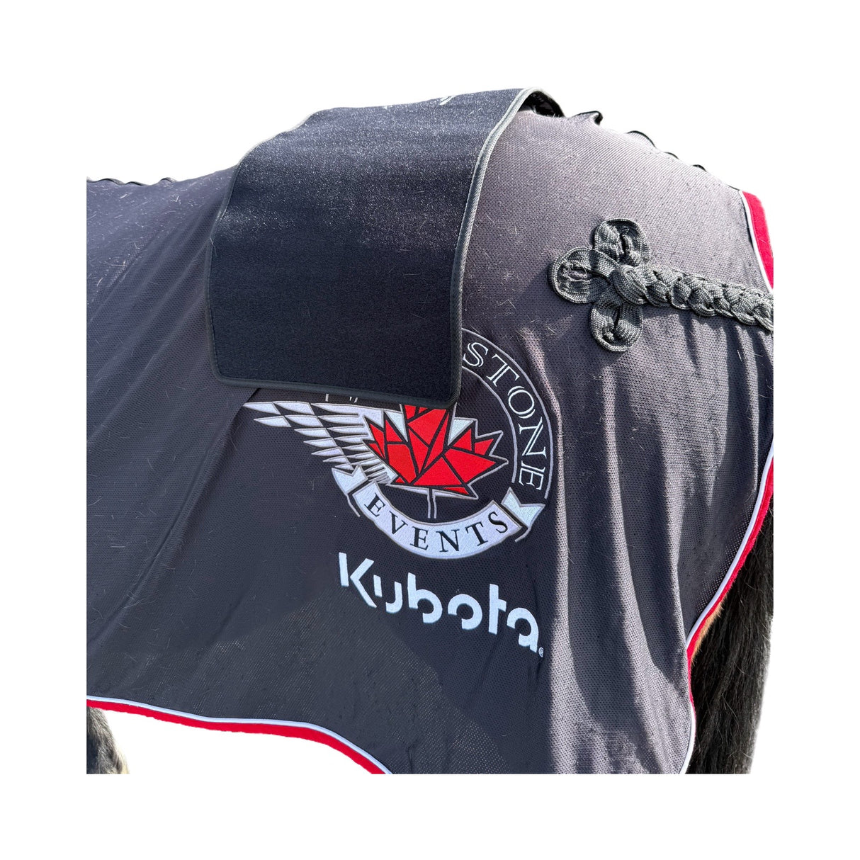 “Horse wearing red light therapy pad on back”
“Near-infrared LED pad treating equine neck soreness”
“Cordless back and neck LED therapy for horses in barn”
“SV Equine Therapy pad reducing inflammation in horse’s shoulders”