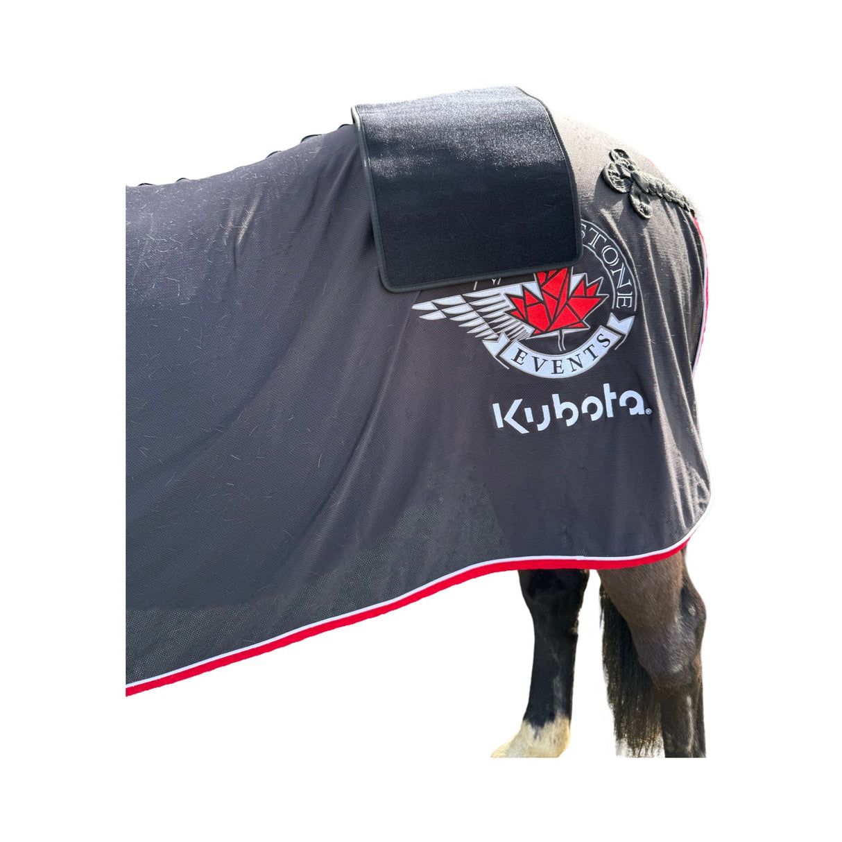 “Horse wearing red light therapy pad on back”
“Near-infrared LED pad treating equine neck soreness”
“Cordless back and neck LED therapy for horses in barn”
“SV Equine Therapy pad reducing inflammation in horse’s shoulders”