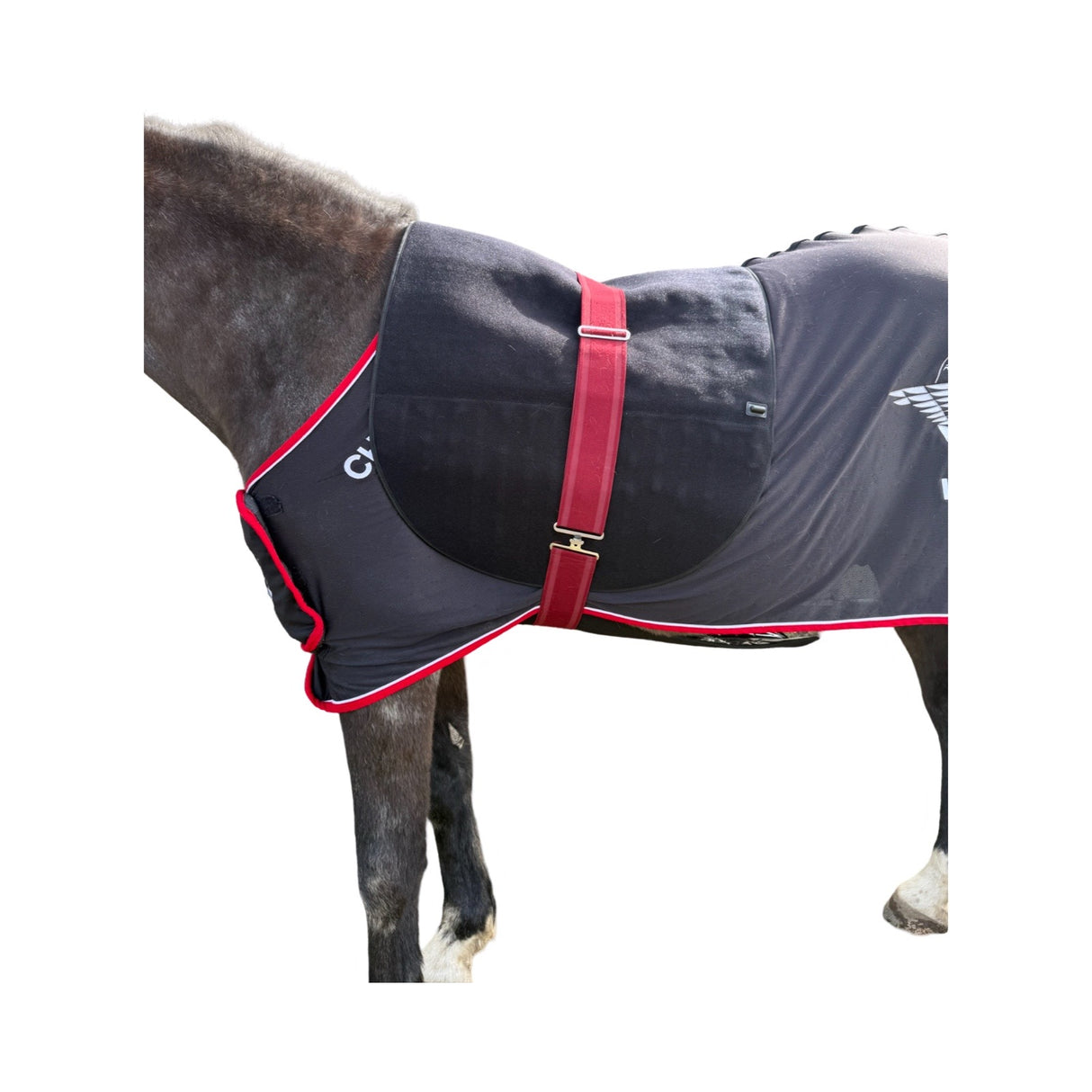 SV Equine Therapy ACTIVE XX-Large LED Light Therapy Pad β Red & Infrared Full-Back / Abdomen Panel for Horses & Riders