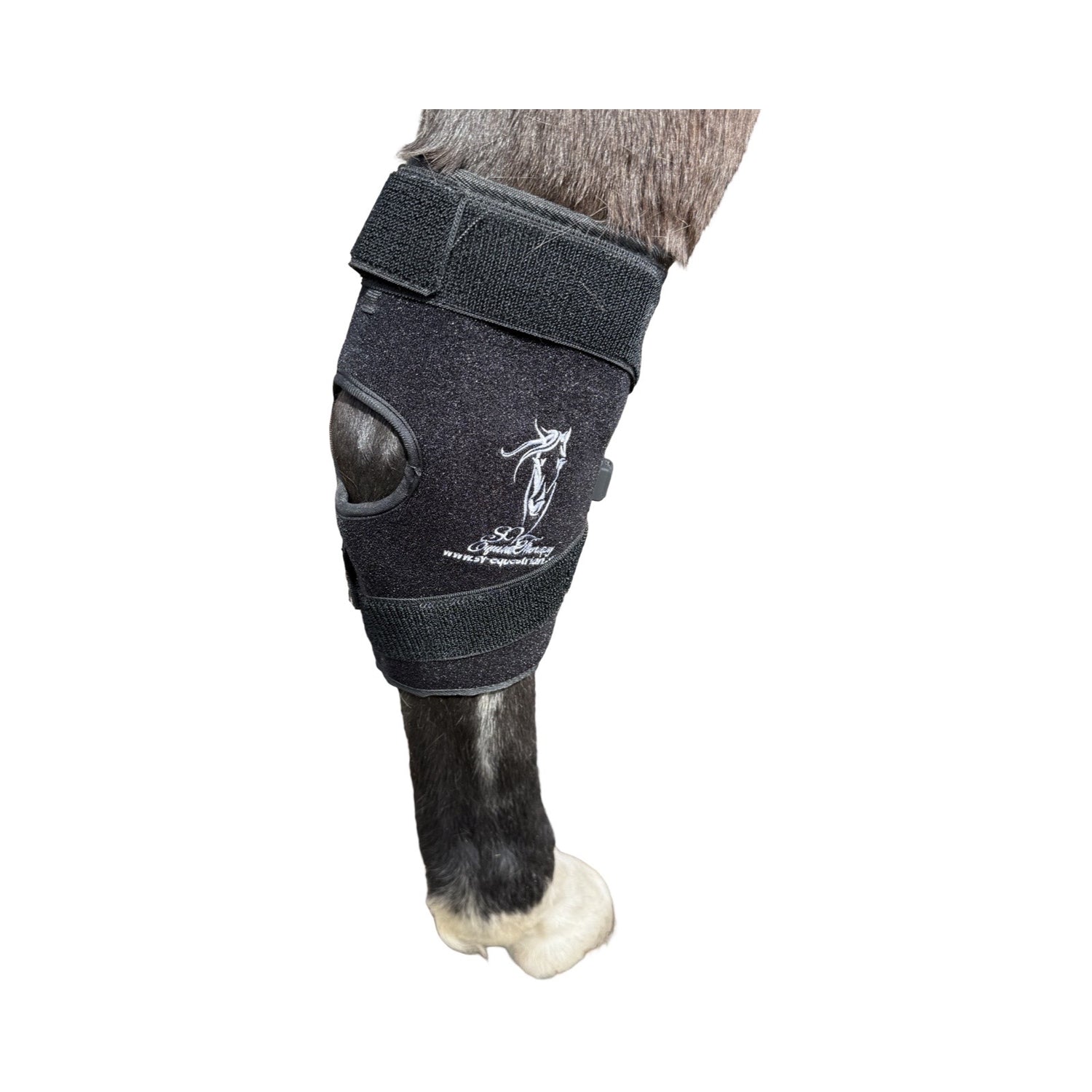 “Horse wearing red light hock therapy boot”
“Cordless infrared LED boot for equine knee pain relief”
“Close-up of SV Equine Therapy hock boot Velcro straps”
“Portable equine LED boot with built-in battery charging”