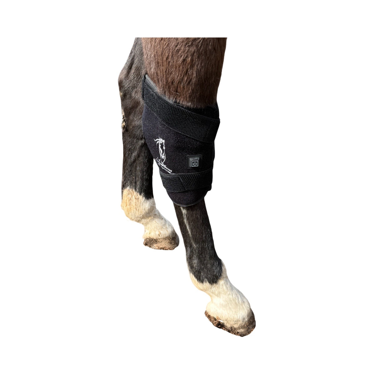 “Horse wearing red light hock therapy boot”
“Cordless infrared LED boot for equine knee pain relief”
“Close-up of SV Equine Therapy hock boot Velcro straps”
“Portable equine LED boot with built-in battery charging”