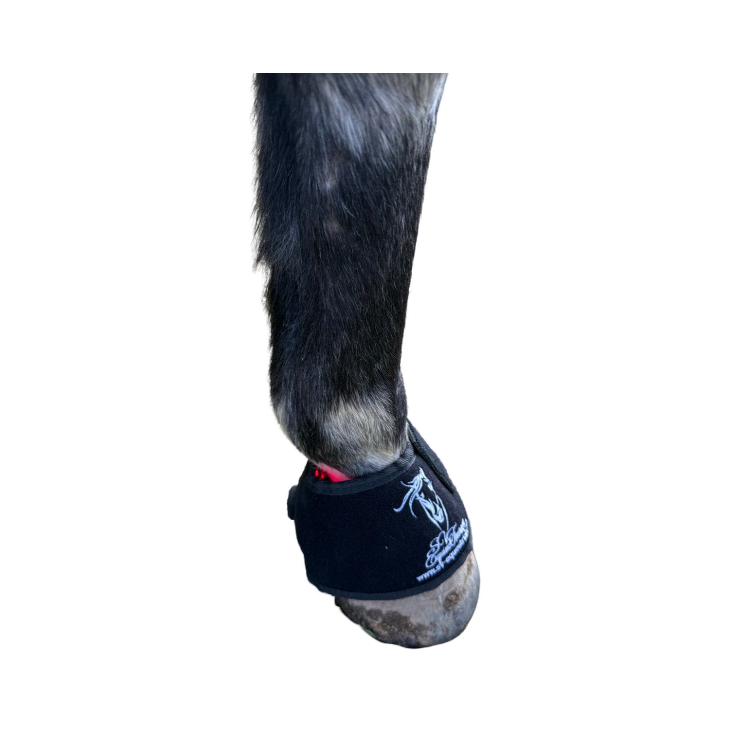 Horse hoof wrapped in red light therapy pad”
“Infrared LED pad treating coronary band inflammation”
“Cordless hoof LED therapy device with Velcro fastening”