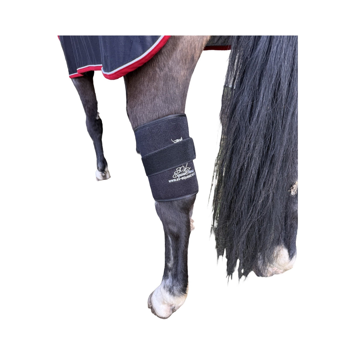 “Horse using LED red light therapy pad on back”
“Equine infrared light therapy for stifle injury”
“All-Rounder LED therapy pad for horse legs and soft tissue recovery”
“SV Equine Therapy pad for inflammation and mobility”