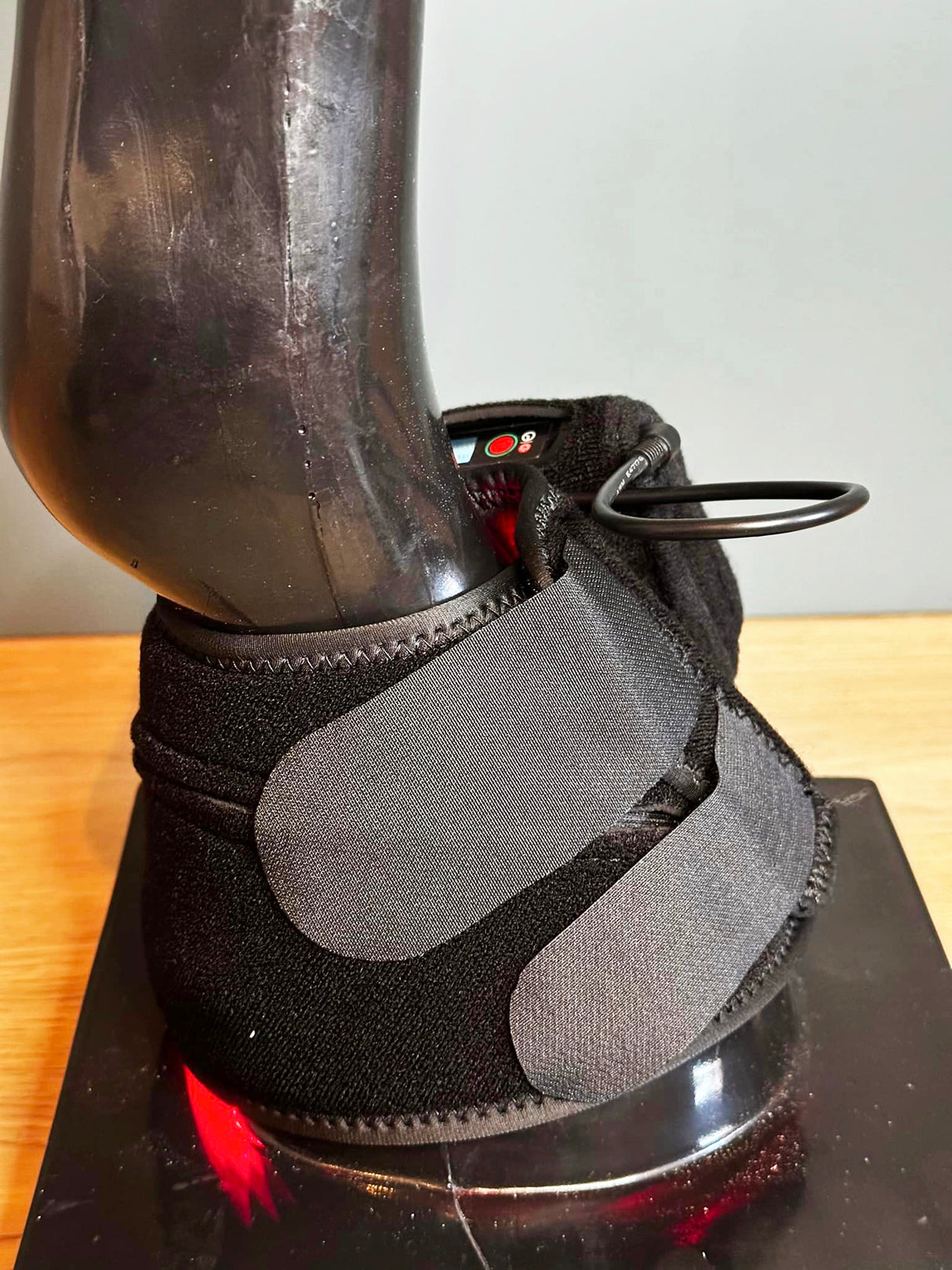 equine laminitis recovery light therapy