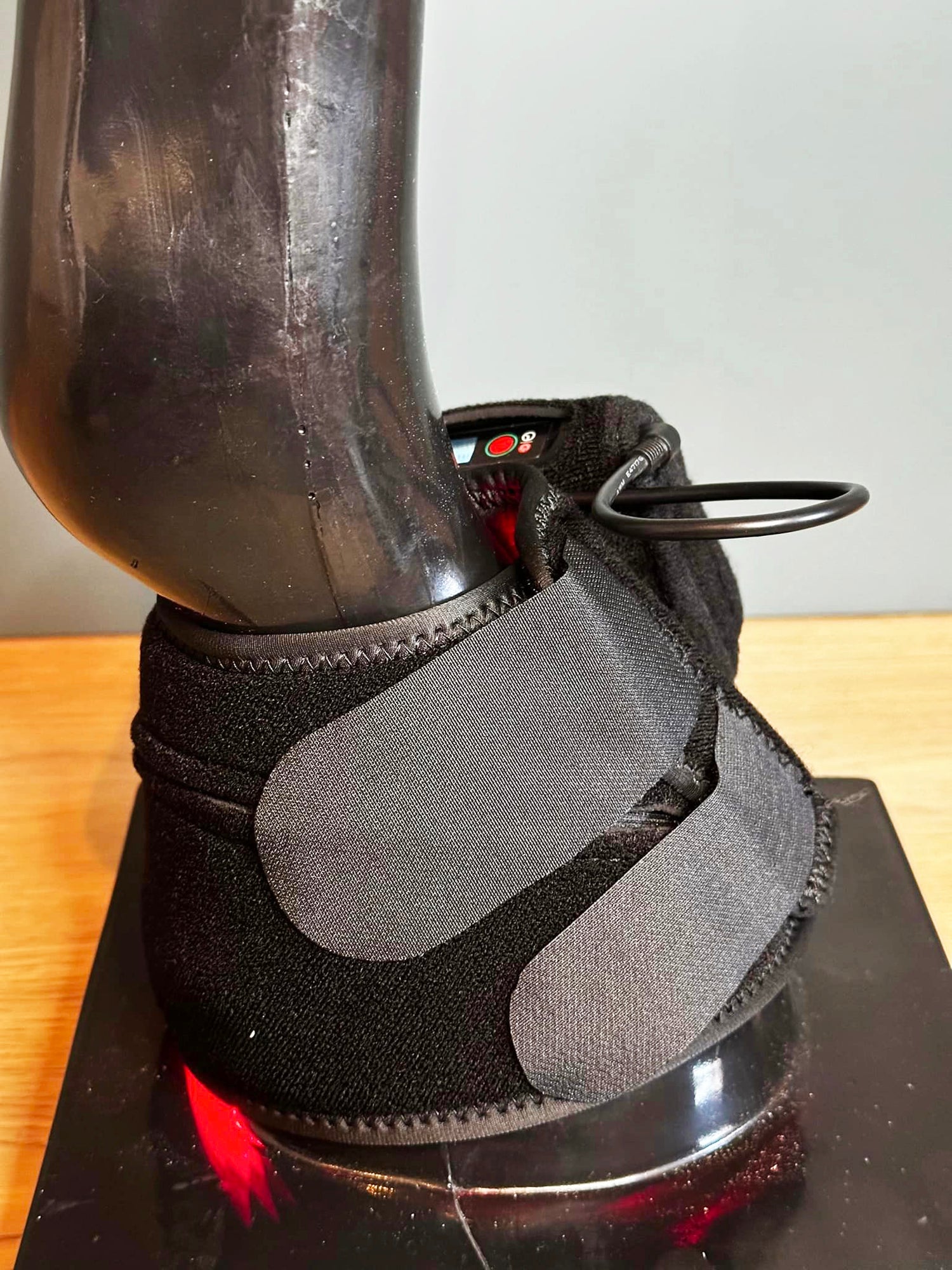 equine laminitis recovery light therapy