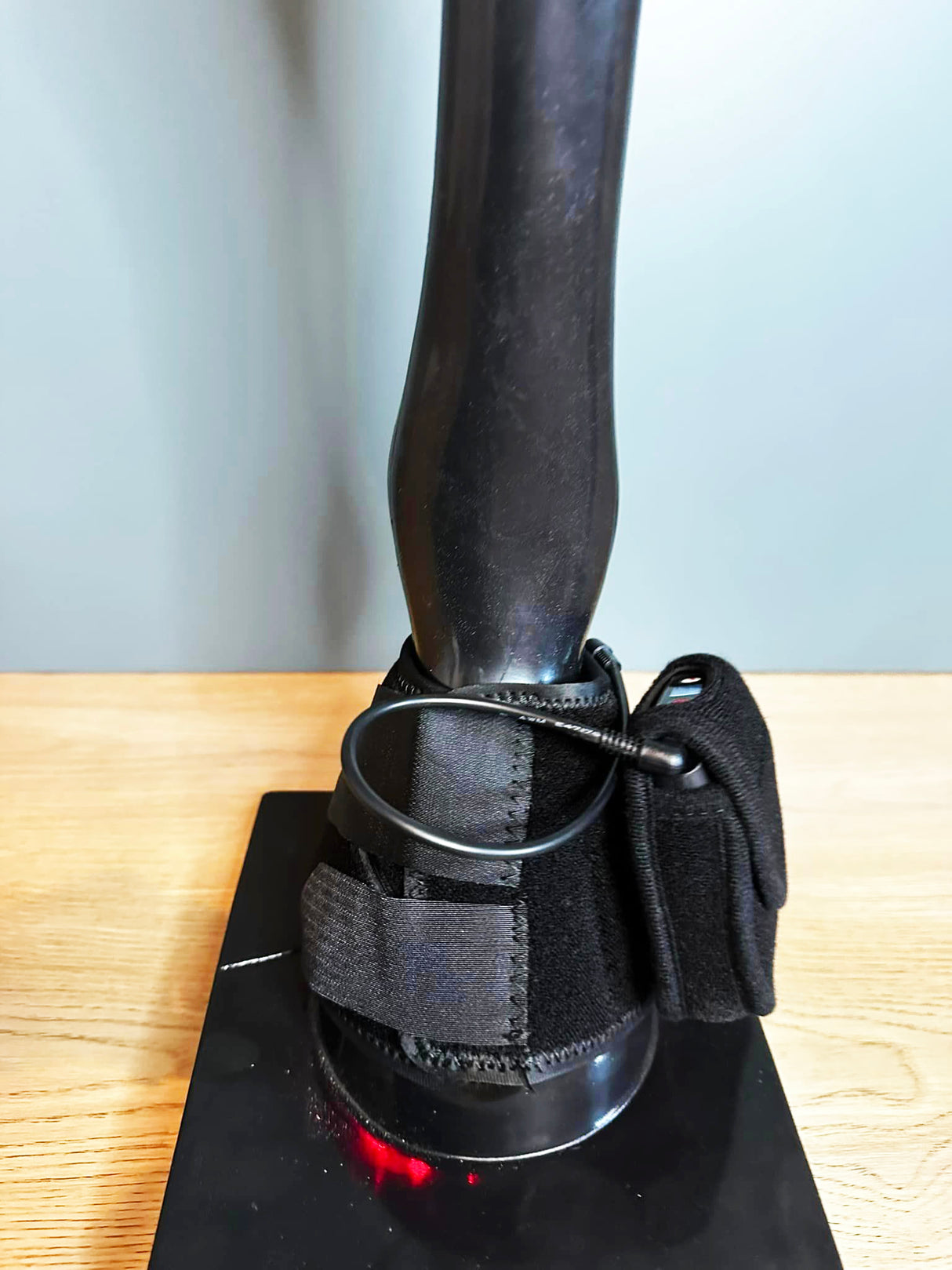 cordless equine LED therapy device