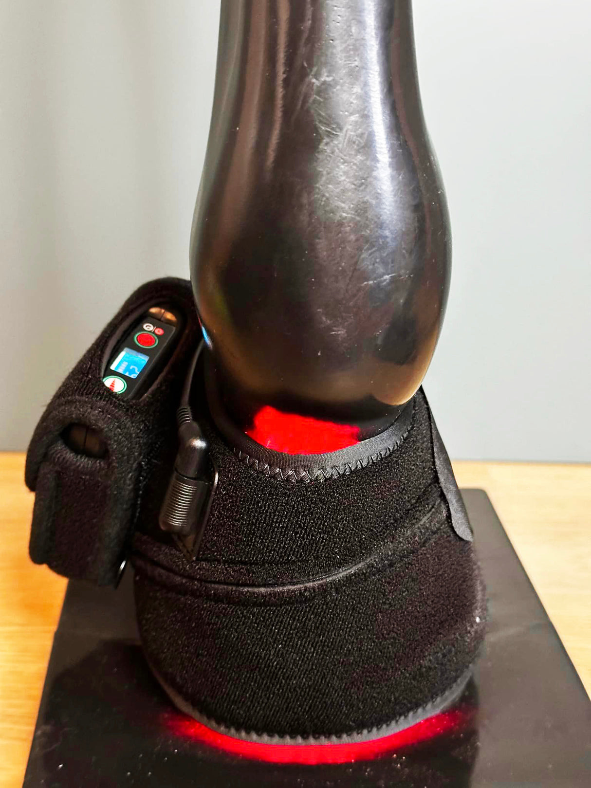 cordless equine LED therapy device for hoof