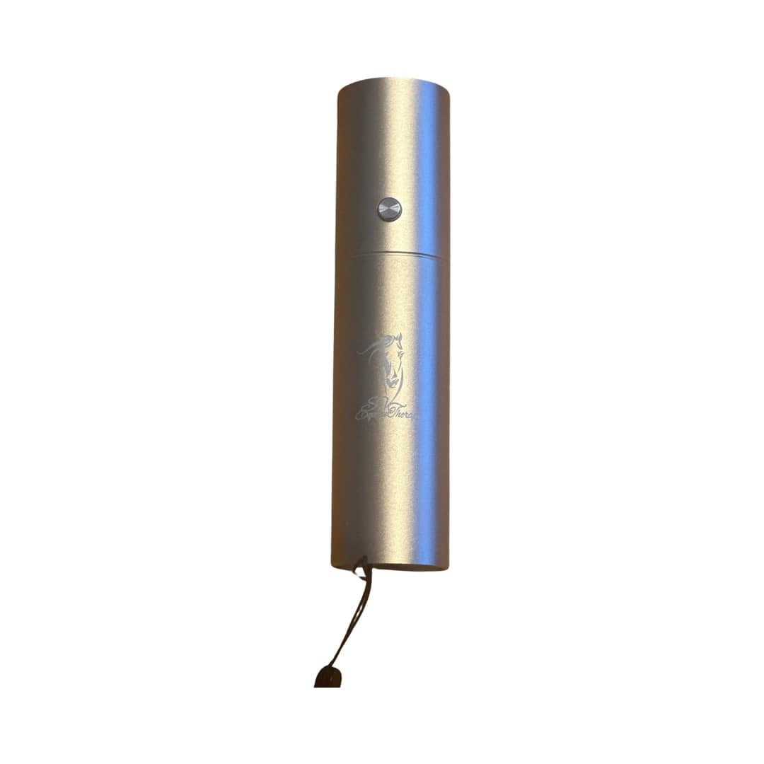 Portable Red and blue LED therapy torch