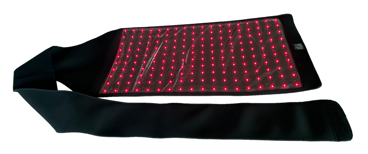 Red and infrared light therapy pad for equine stifle and belly