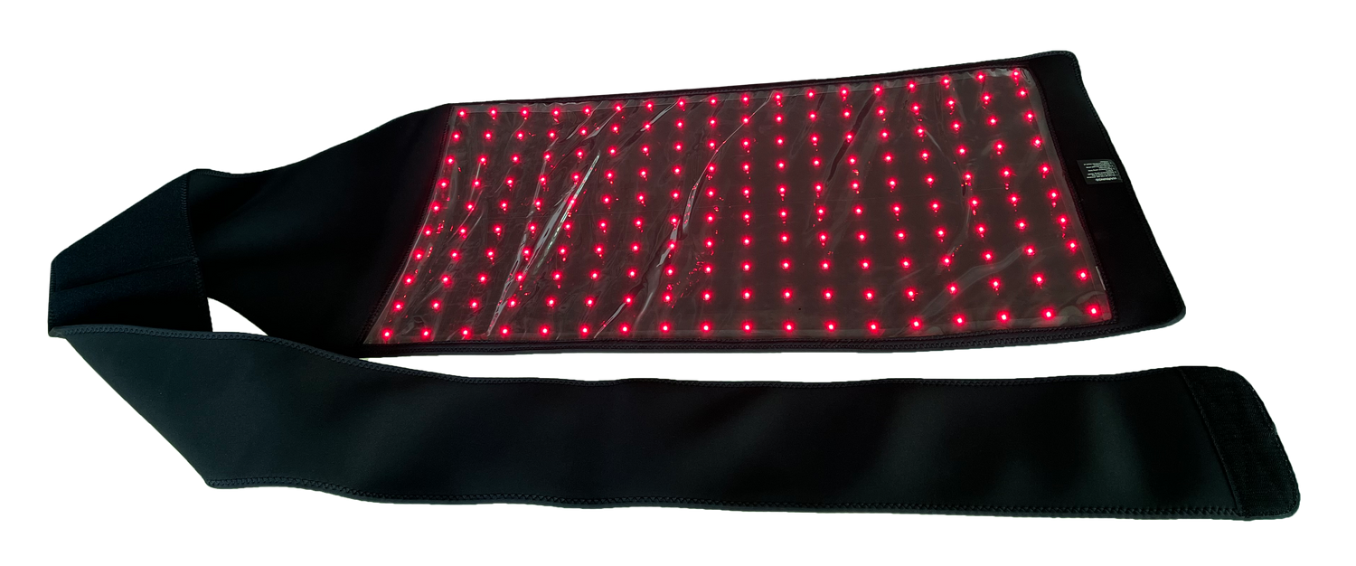 Red and infrared light therapy pad for equine stifle and belly