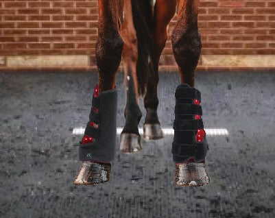 Red Light Therapy Horse Leg Boot