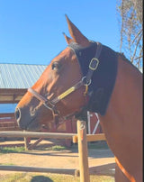SV Equine Therapy LUX LED Calming Horse Bonnet