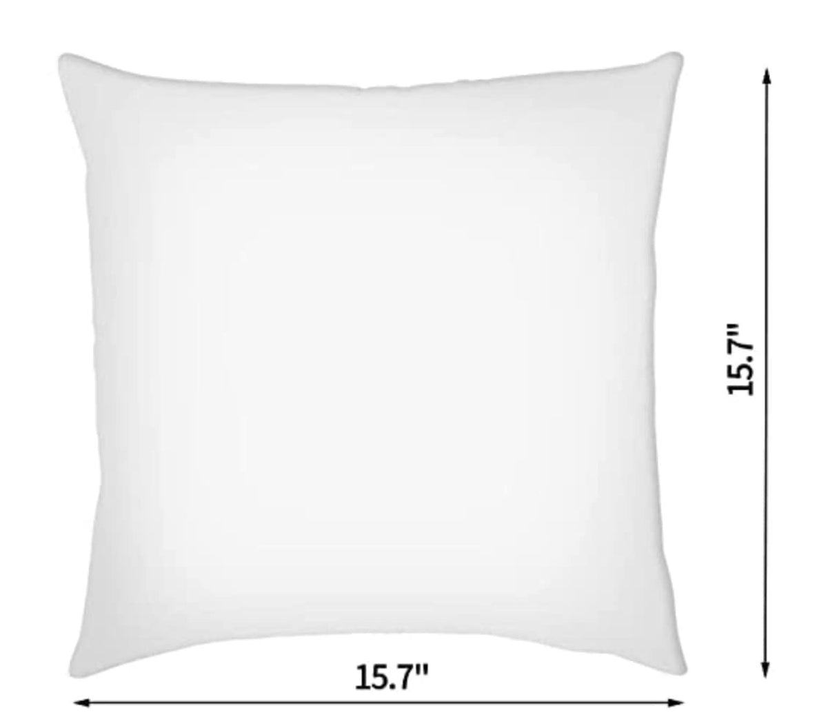 I Love Big Bays & I Cannot Lie - Cushion Cover