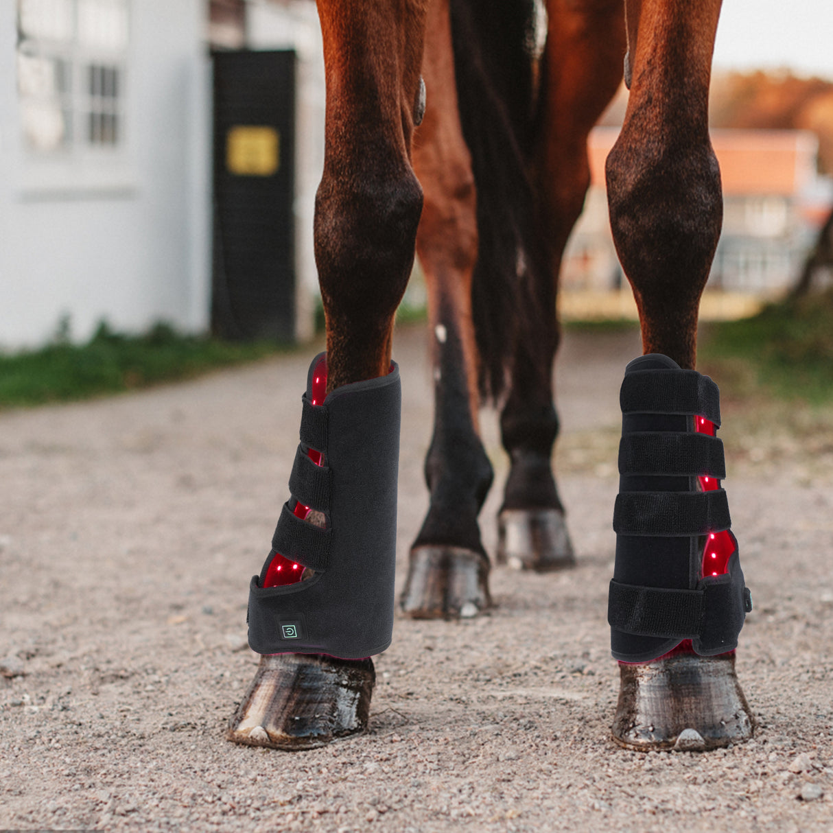 SV Equine Therapy  ACTIVE Leg LED Light Therapy Pad