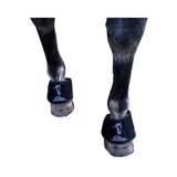 Horse hoof wrapped in red light therapy pad”

“Infrared LED pad treating coronary band inflammation”

“Cordless hoof LED therapy device with Velcro fastening”