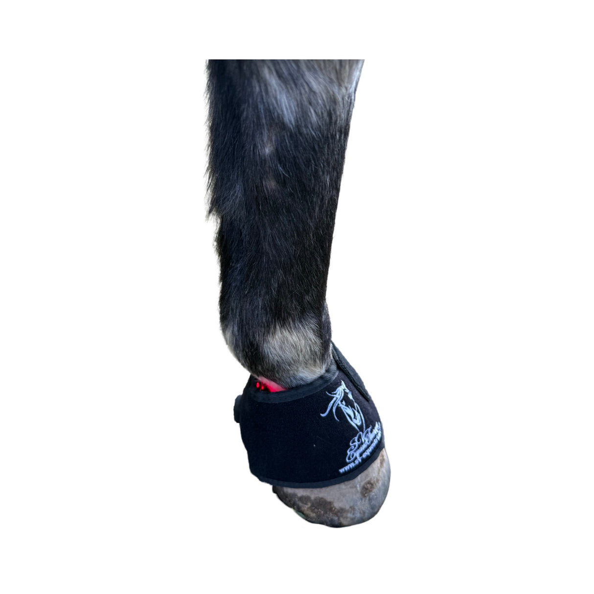 Horse hoof wrapped in red light therapy pad”

“Infrared LED pad treating coronary band inflammation”

“Cordless hoof LED therapy device with Velcro fastening”