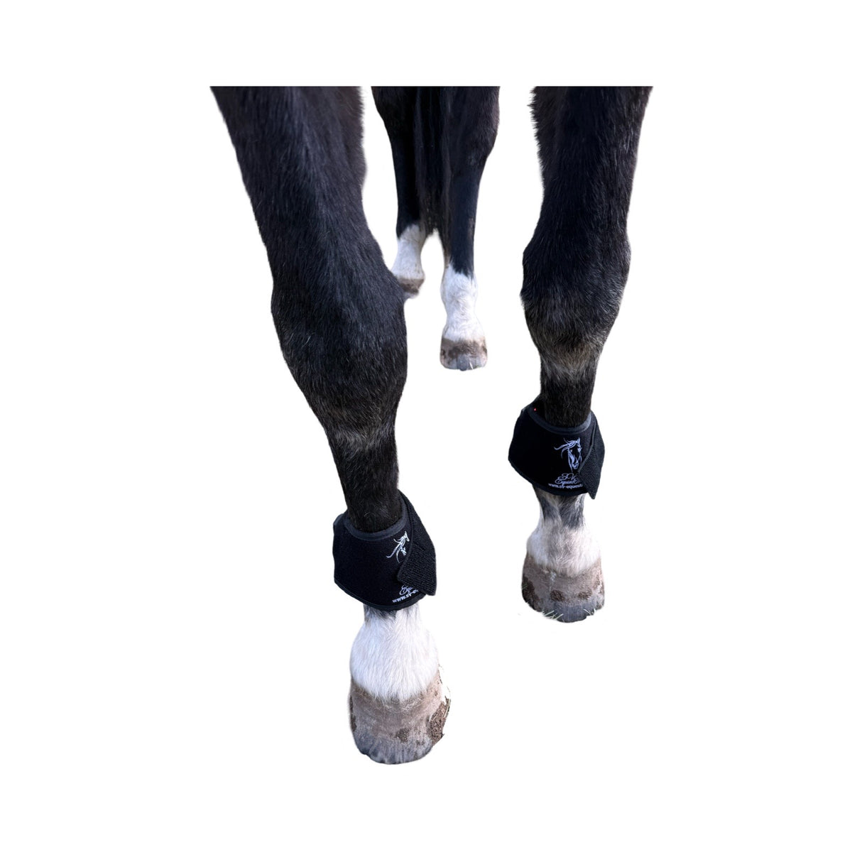 Horse hoof wrapped in red light therapy pad”

“Infrared LED pad treating coronary band inflammation”

“Cordless hoof LED therapy device with Velcro fastening”