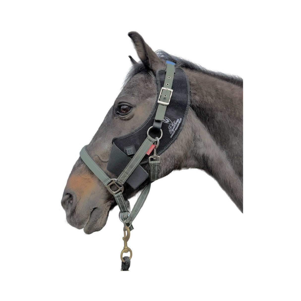 “Infrared LED pad treating TMJ tension”