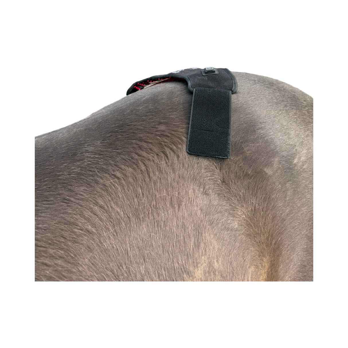 “Infrared LED pad treating SI tension”