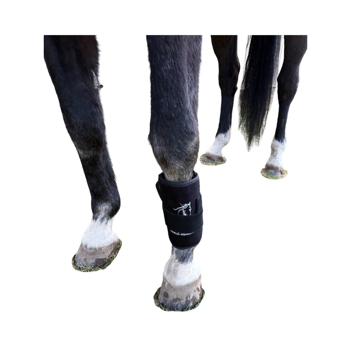 SV Equine Therapy  ACTIVE All - Rounder LED Light Therapy Pad