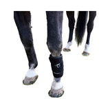 SV Equine Therapy  ACTIVE All - Rounder LED Light Therapy Pad
