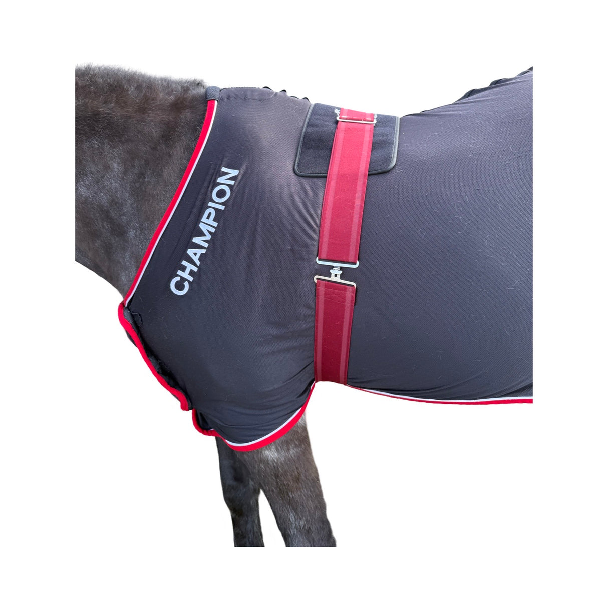 SV Equine Therapy  ACTIVE All - Rounder LED Light Therapy Pad