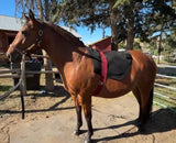 SV Equine Therapy LUX Neck LED Light Therapy Pad