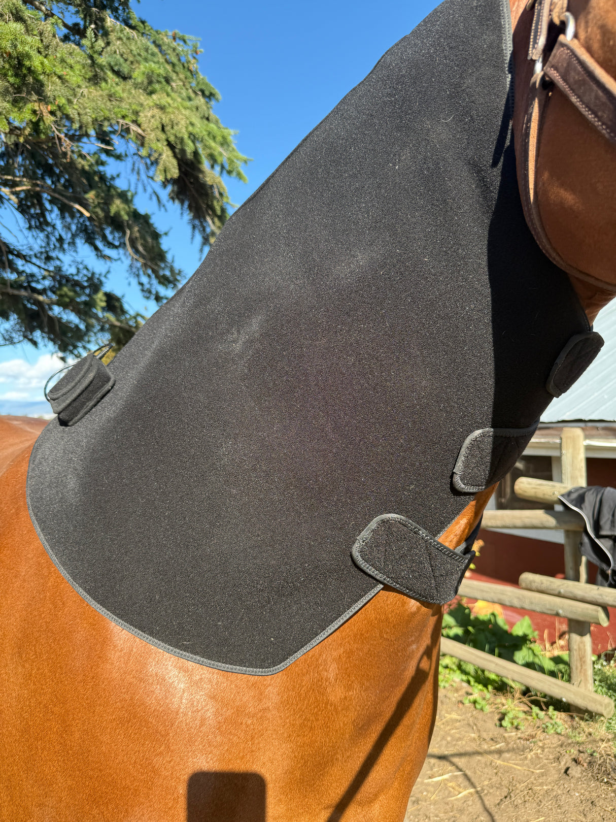 SV Equine Therapy LUX Neck LED Light Therapy Pad