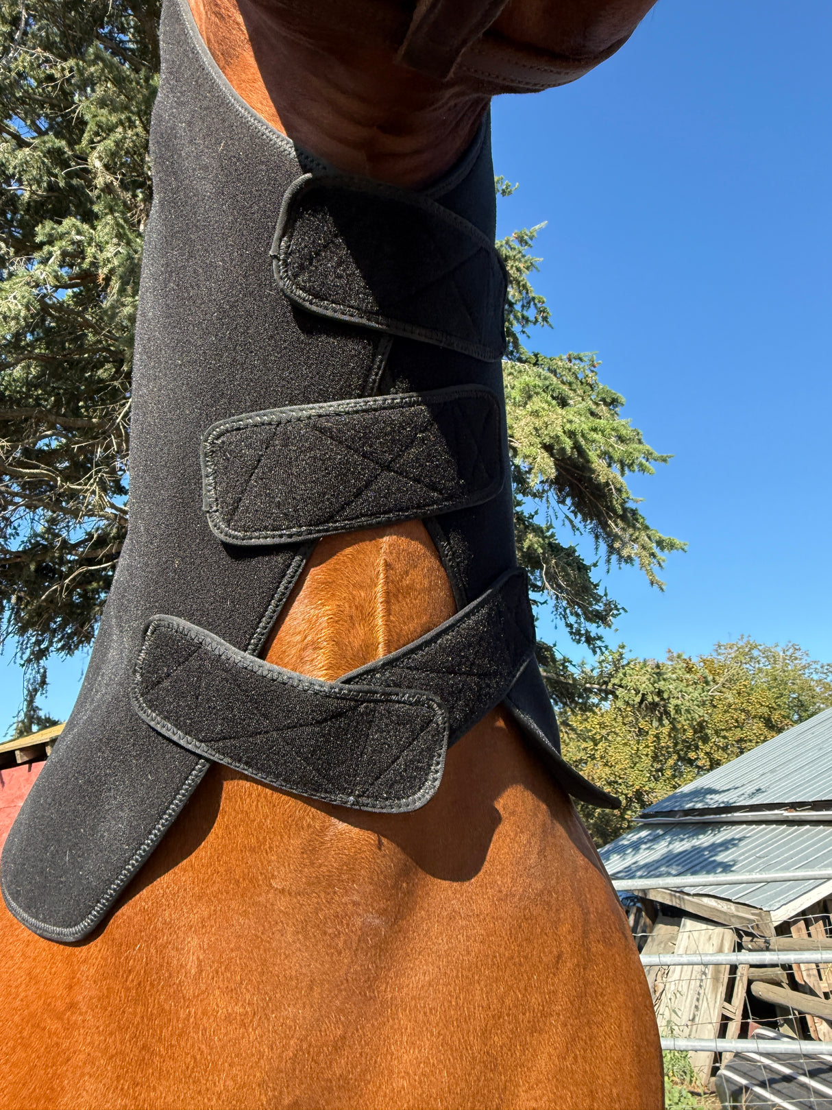 SV Equine Therapy LUX Neck LED Light Therapy Pad