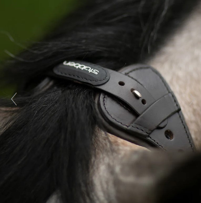 STUBBEN FREEDOM BRIDLE WITH MAGIC TACK BROWBAND