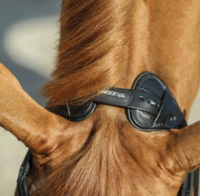 Load image into Gallery viewer, STUBBEN FREEDOM BRIDLE WITH MAGIC TACK BROWBAND
