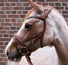 Load image into Gallery viewer, STUBBEN FREEDOM BRIDLE WITH MAGIC TACK BROWBAND
