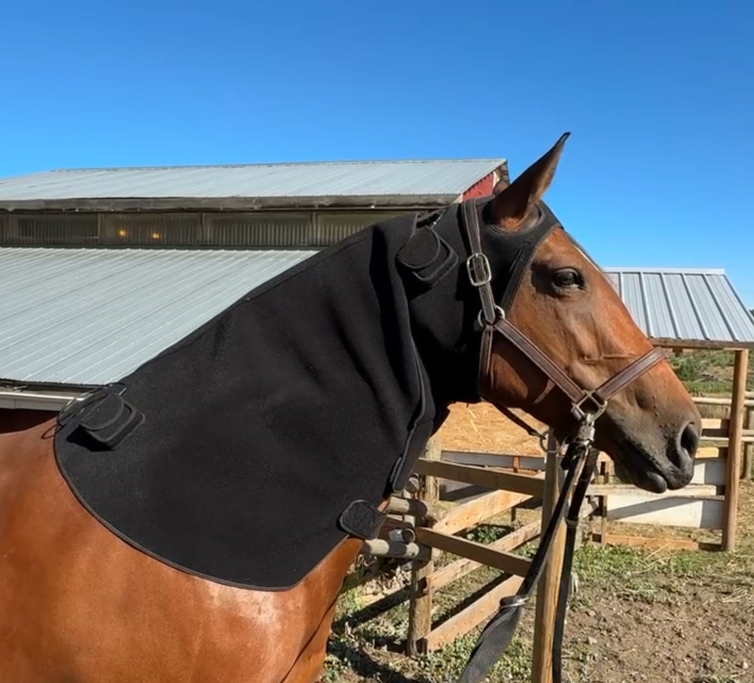 SV Equine therapy Lux Neck Pad  & :ux Poll Cap