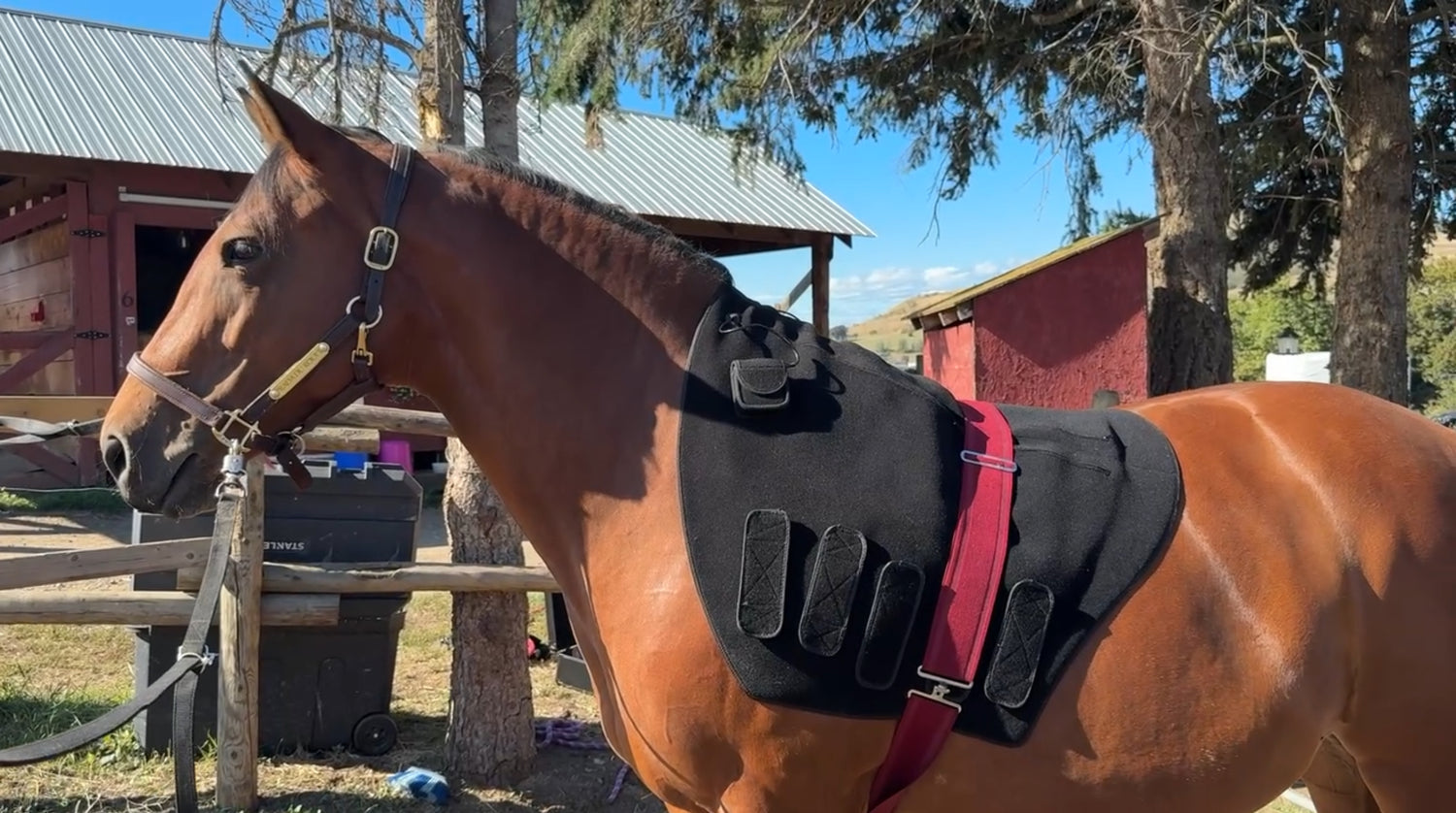 SV Equine Therapy LUX Neck LED Light Therapy Pad