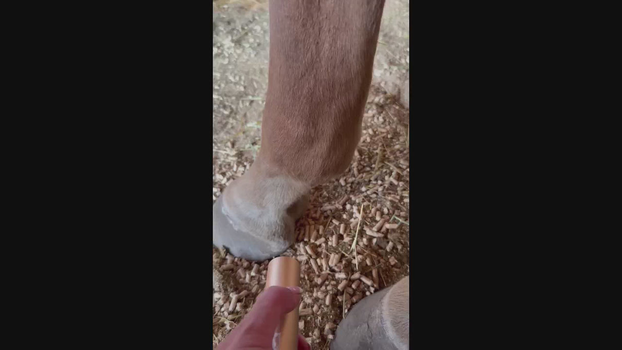 SV Equine Therapy Red and Blue Light Therapy Torch